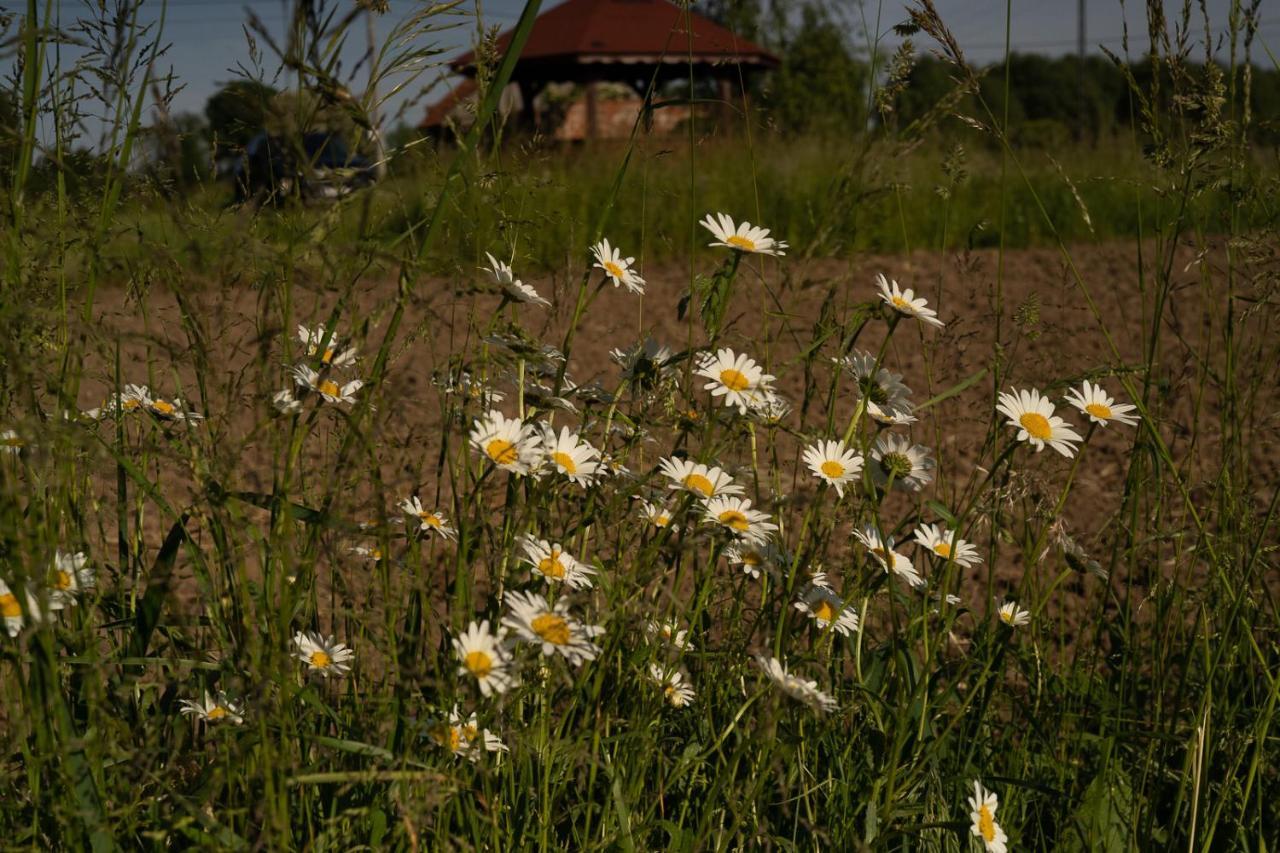 Rustykalne Klimaty Villa Majdan Zbydniowski Exterior foto